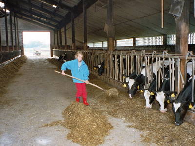 Bild 19 aus  Ferienhof Knoop