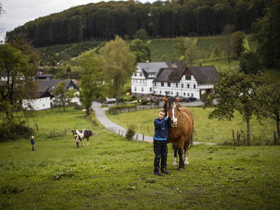 Bild 2 aus  Ferienhof Schade