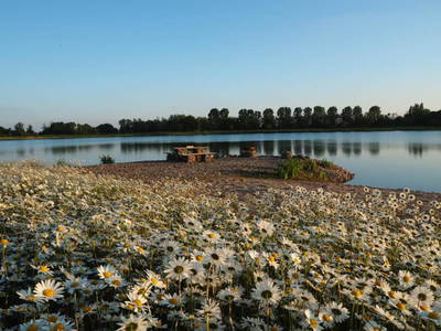 Bild 18 aus  Coproyshof am See