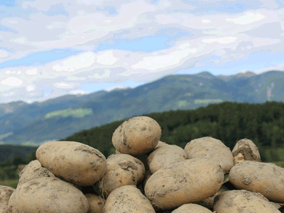 Bild 8 aus  Beikircherhof