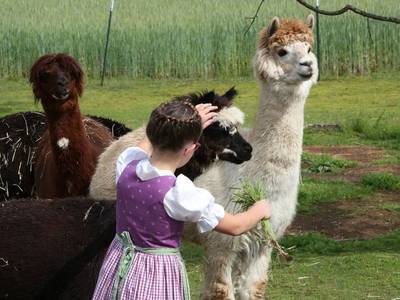 Bild 13 aus  Beim Lenglacher