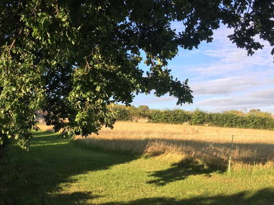 Bild 14 aus  Bauershof, wo die Heidschnucken schlafen