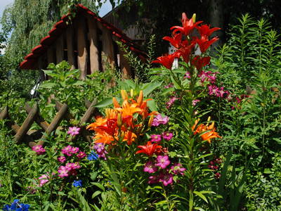 Bild 29 aus  Residence Obermoarhof