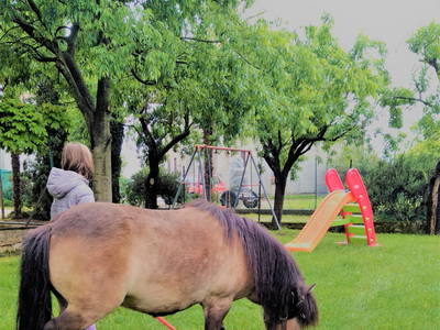 Bild 23 aus  Bauerhofurlaub zwischen den Touristenattraktionen Gardasee, Verona und Mantua