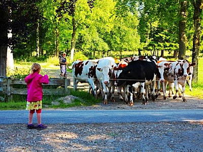 Bild 13 aus  Ferienhof Vennhof