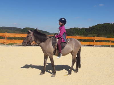 Bild 41 aus  Familienbauernhof Faß