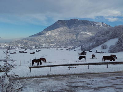 Bild 3 aus  Bichlerhof