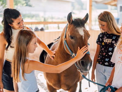 Bild 8 aus  Ferienparadies Huberhof