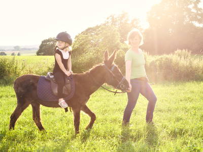 Bild 21 aus  Ostseebauernhof