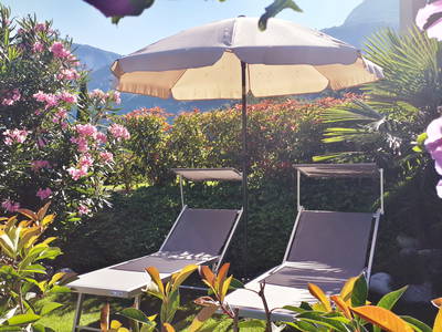 Bild 19 aus  Rebhof Kurtatsch