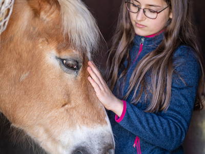 Bild 14 aus  Marksteinhof