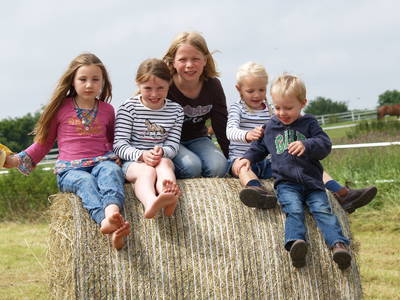 Bild 12 aus  Gestüt Hof am See