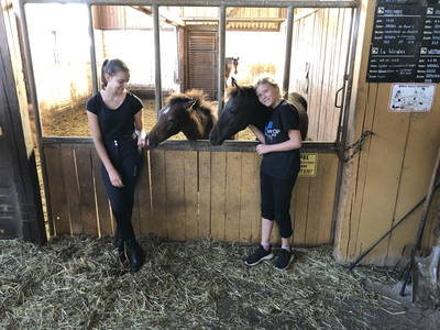 Bild 26 aus  Reitschule Fuchsenhof FN