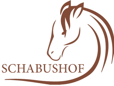 Bild 5 aus  Schabushof