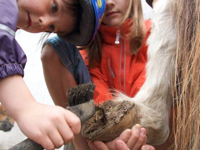 Bild 7 aus  Ferienhof Johannsen