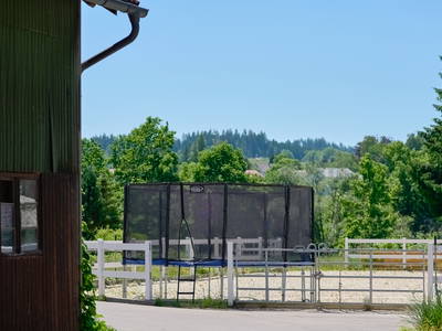 Bild 12 aus  Landurlaub Allgäu