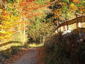 Bild 19 aus  Meisterhof