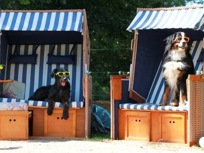 Strandkörbe am Pool