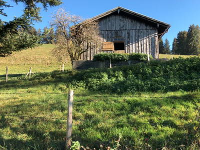 Bild 19 aus  Ferienhof Miller