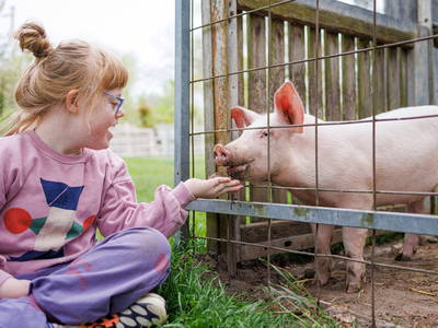 Bild 4 aus  Ferienhof Sonnengarten
