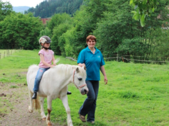 Bild 25 aus  Ramsteinerhof