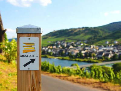 Bild 5 aus  Ferienwohnung Weingut Mathy Schanz