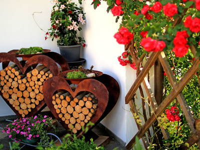 Bild 53 aus  Ederhof