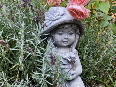 Bild 29 aus  Braunsberger Höfe