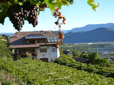 Bild 5 aus  Finkenhof