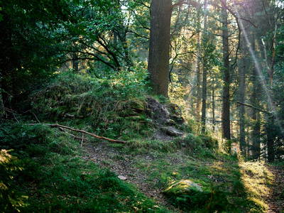 400 ha Wald und viel Natur