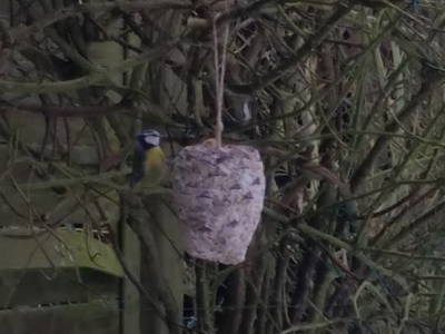 Bild 13 aus  Hof Junkernberg am See