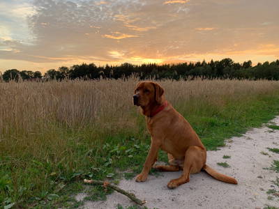 Bild 22 aus  Hof Flottwedel