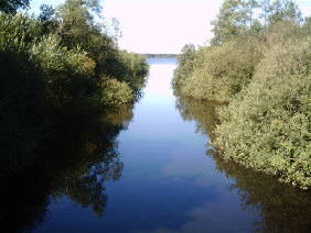 Bild 12 aus  Ferienhof Sengstaken