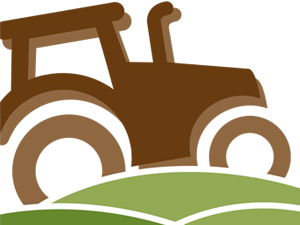 Bild 20 aus  Der Liethshof