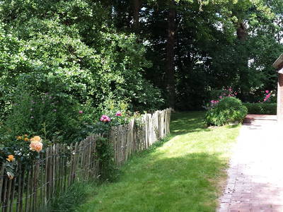 Bild 20 aus  Nase im Wind