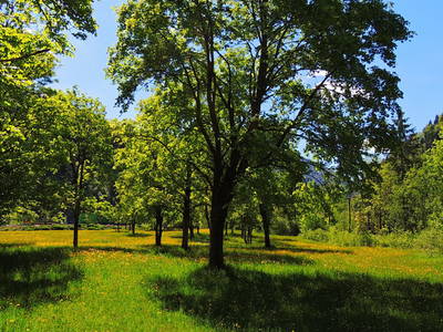 Bild 7 aus  Haus Marter   Mindestaufenthalt 6 Nächte