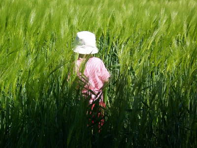 Bild 19 aus  Hof Gerina