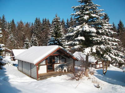 Bild 6 aus  Feriendorf  & Lama-Ranch