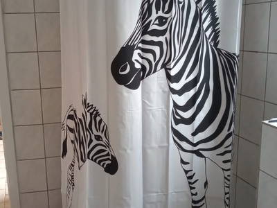 Bild 11 aus  Wohlfühlwohnung im Grünen auf Pferdehof