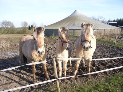 Bild 23 aus  Vejstrupgaard