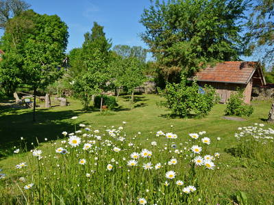 Bild 4 aus  Pieverstorf 2