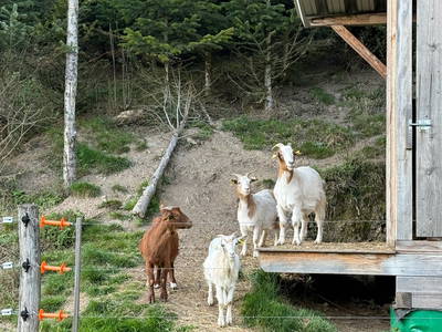 Bild 28 aus  Vettererhof