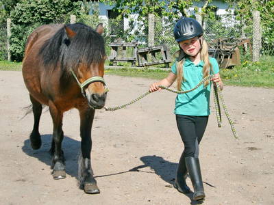 Bild 40 aus  Erlebnis-Bauernhof Kliewe auf der Insel Rügen