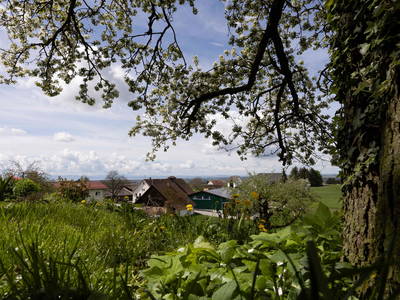 Bild 28 aus  Erholung - Natur pur - Urlaub auf dem Loyerhof