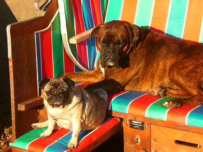 Bild 21 aus  Katrin's Ferienhof