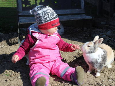 Bild 3 aus  Risthof am Großen Alpsee