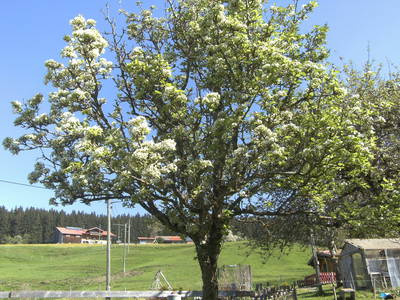 Bild 20 aus  Ferienhof Rasch