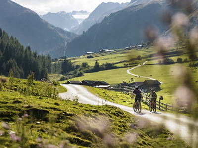 Bild 20 aus  Haus Gletscherblick