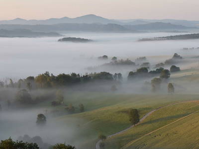 Bild 14 aus  Blogstube in Hinterhermsdorf