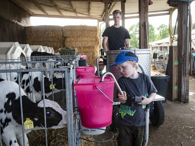Bild 2 aus  Ferienhof Ratjen